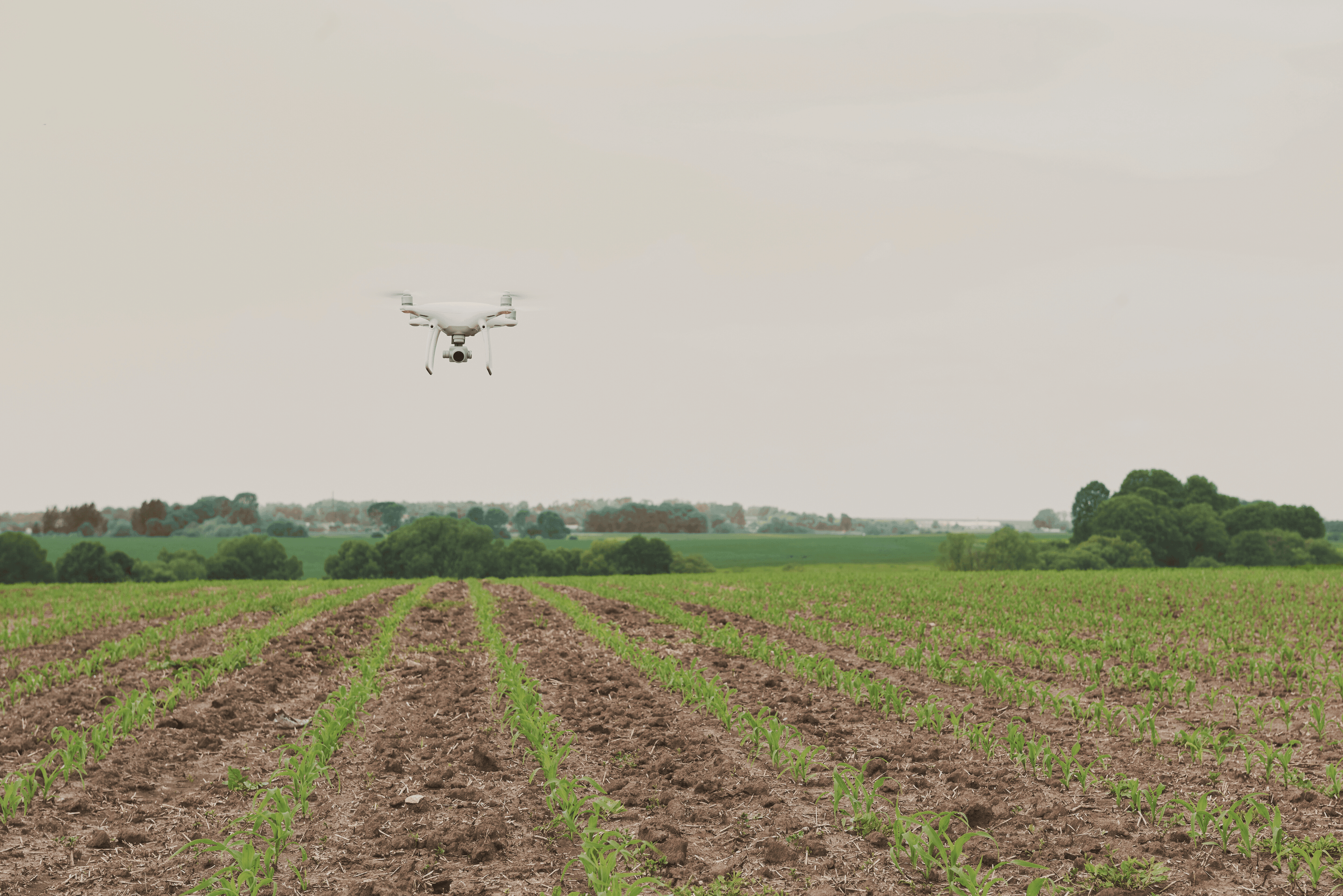 Agriculture