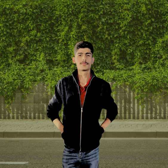 Aazib Simulation Engineer